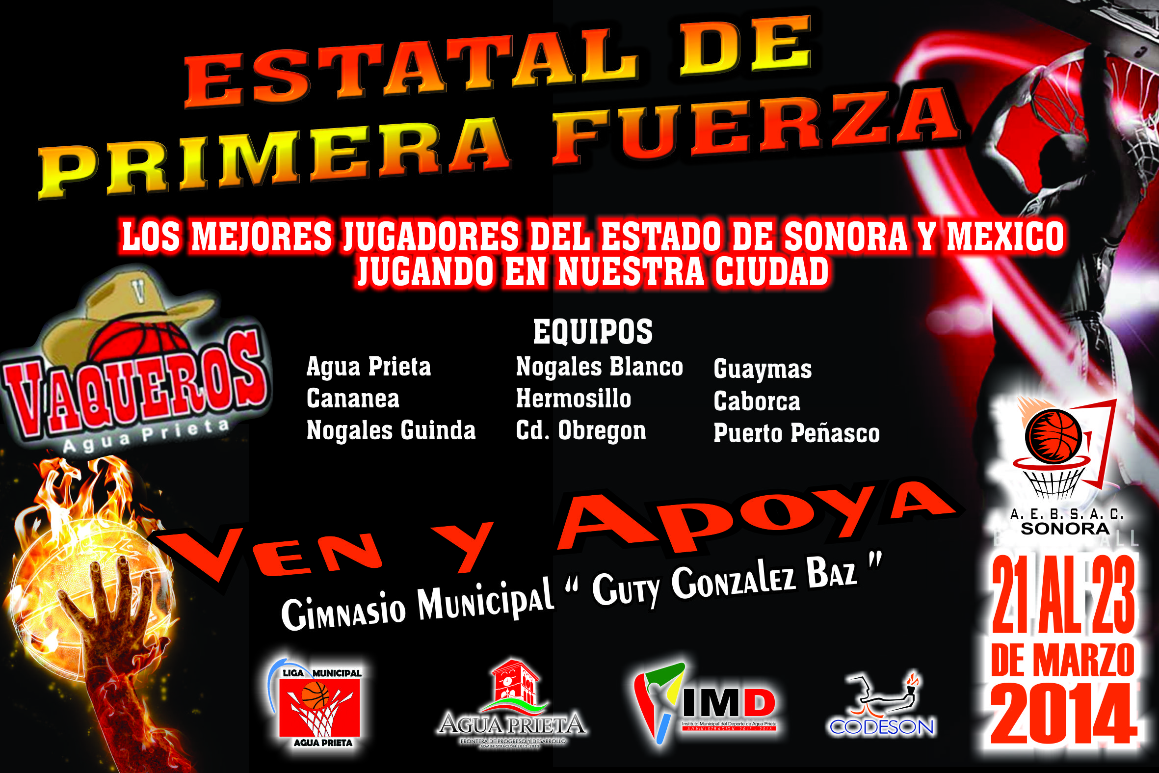ESTATAL DE PRIMERA FUERZA 2014